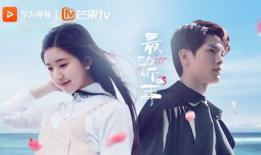 芒果视频电视剧,情感纠葛与成长蜕变