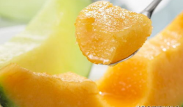 哈密瓜视频,探寻瓜果之王的魅力与奥秘